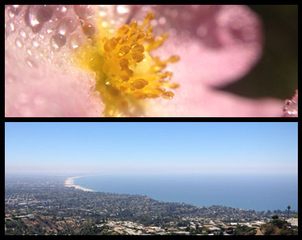 wide angle lens and macro lens